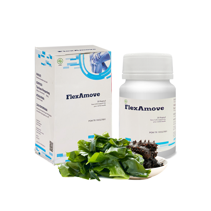 Ilustrasi manfaat Flexamove