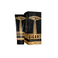 Gigant Anwendung und Ergebnisse