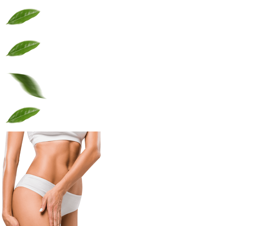 Imagen de Matcha Suri auténtico