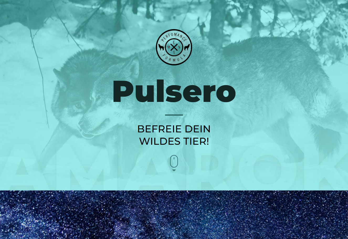 Pulsero Armband im Einsatz