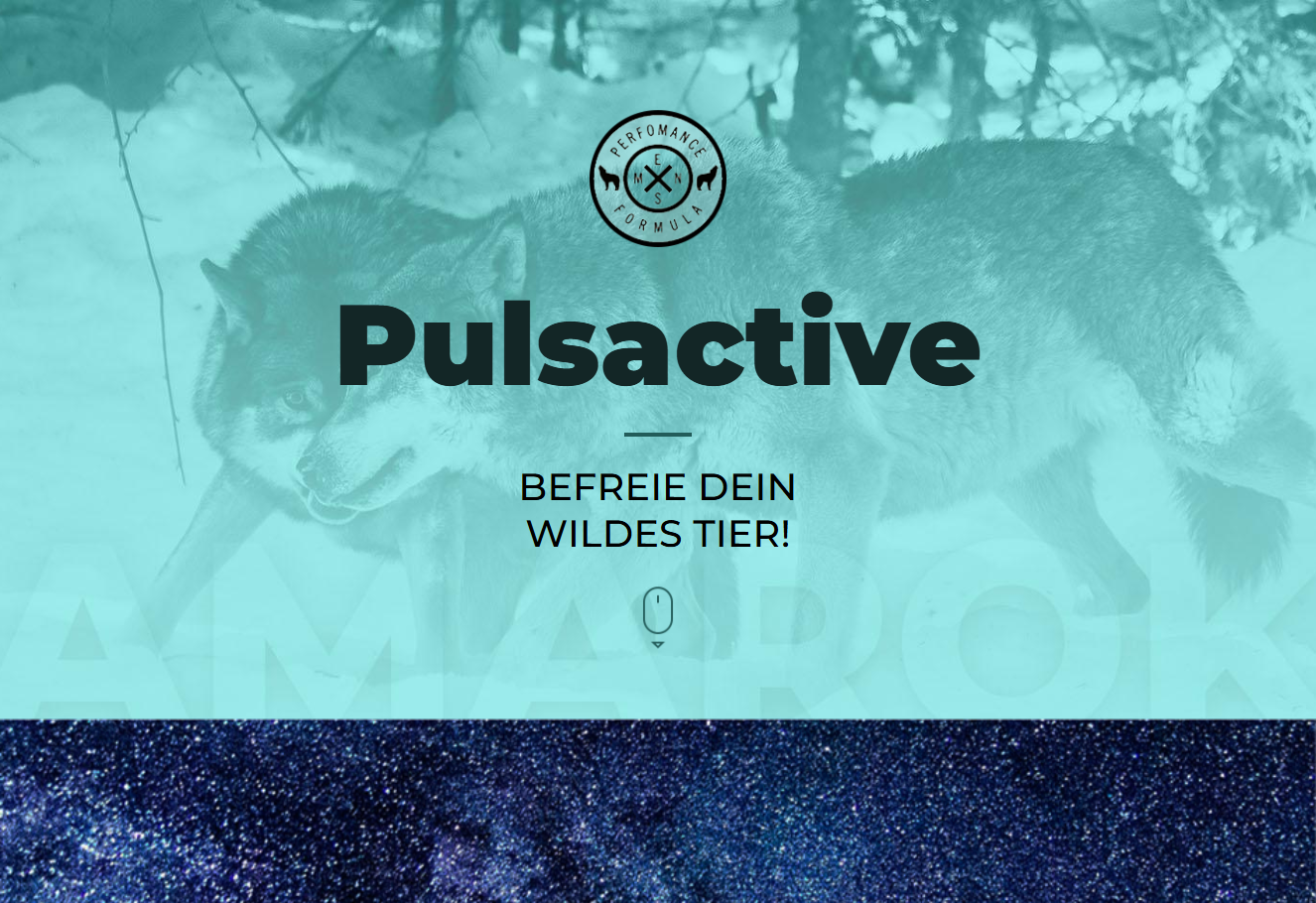 Pulsactive Produktbild