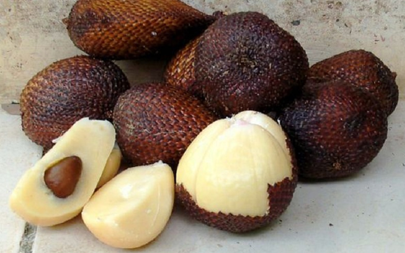 Los beneficios de la fruta de ratán y la forma correcta de comer ratán. Los beneficios de la fruta de ratán y la forma correcta de comer ratán.